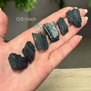 May include: Six black tourmaline crystals, each with a striated surface, measuring 0.5-1 inch in size. The crystals are arranged in a row on a hand.