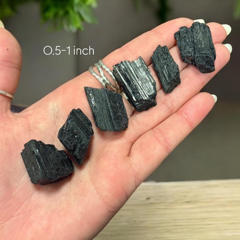 May include: Six black tourmaline crystals, each with a striated surface, measuring 0.5-1 inch in size. The crystals are arranged in a row on a hand.