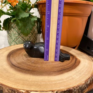 May include: A black soapstone carving of a seal, approximately 4 inches long, resting on a wooden surface. The seal is lying on its belly with its flippers outstretched.