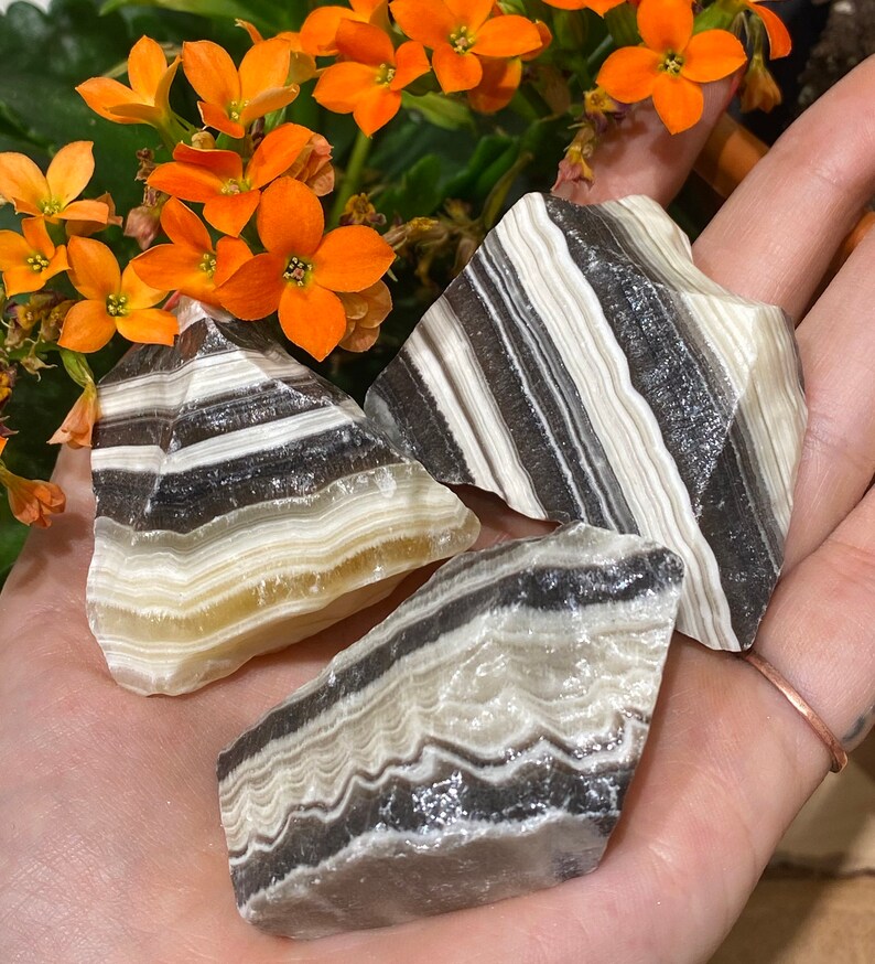 One Rough Zebra Onyx Stone Zebra Onyx Pocket Stone Onyx Etsy