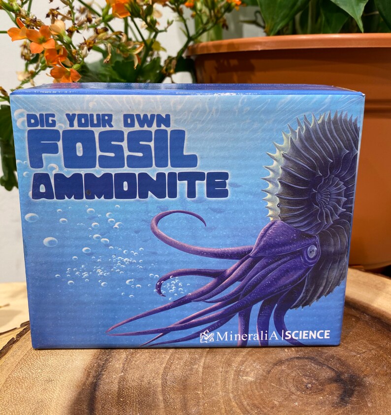 dig your own fossil