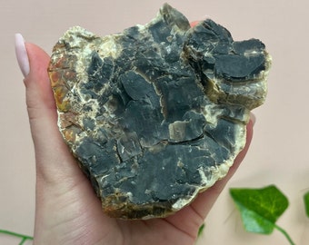 Black Petrified Wood Specimen (Exact Item), 11 oz, Unpolished Natural Stone, Collectors Item, Root Chakra, Genuine Crystal, Grounding