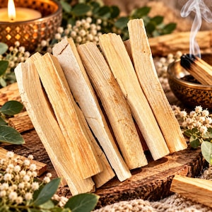 Könnte beinhalten: Eine Ansammlung von hellbraunen Palo Santo Holzstäbchen, die in einem vertikalen Bündel angeordnet sind. Das Holz weist eine natürliche, faserige Textur mit sichtbarer Maserung und hellbeigen Tönen auf, die die rohe Oberfläche zeigen.