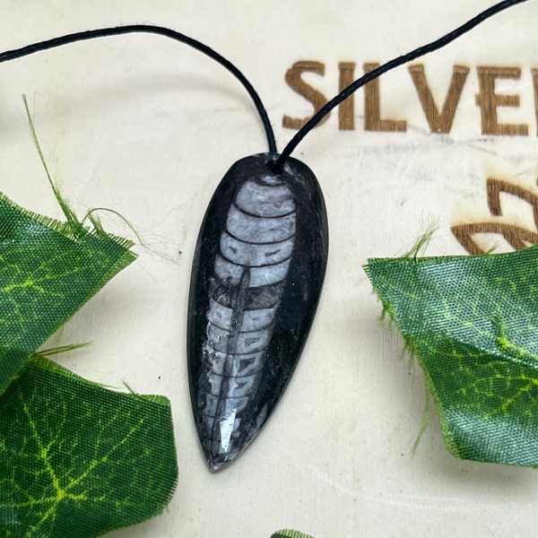 One Orthoceras Fossil Necklace, Genuine Cephalopod Specimen Jewelry, Ancient Wisdom, Grounding Stone, Pendant For Him, Millions of Years Old