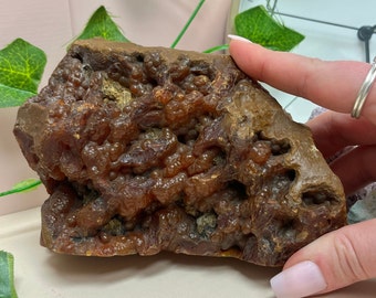 Beautiful Cornflake Agate Specimen (Exact Item), 1 Lb 13 Oz, Unpolished Natural Stone, Collectors Item, Sacral Chakra, Genuine Crystal