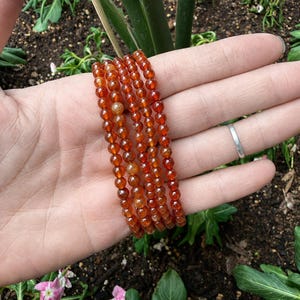 May include: Several strands of orange-red gemstone bead bracelets. The beads are small and round, with a polished, translucent appearance. The bracelets are held in a hand, with a garden background.