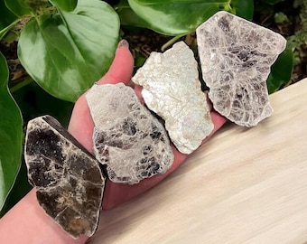 May include: Four pieces of raw, natural mica, also known as muscovite, in various shades of brown and silver. The mica is translucent and has a layered, flaky texture.
