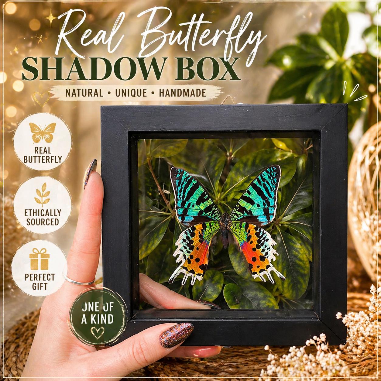 H. Matsumoto リトグラフ「Butterfly」 Single Uraniidae Butterfly in Frame, Madagascar Sunset Moth