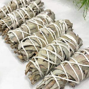 May include: A bundle of white sage smudge sticks tied with white twine. The sticks are arranged in a row, with the ends of the sticks facing the viewer. The sticks are a natural, light brown color.