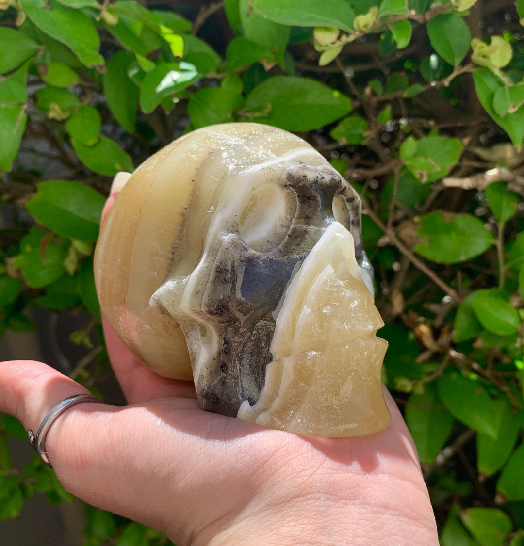 Zebra Onyx Large Skull Carving, Hand Carved Skull Statue, Altar Piece