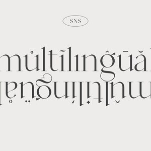 Op de afbeelding: Een grafisch ontwerp met het woord "meertalig" in een gestileerd lettertype. Het woord wordt herhaald in een gespiegeld patroon, waardoor een visueel effect van symmetrie ontstaat.