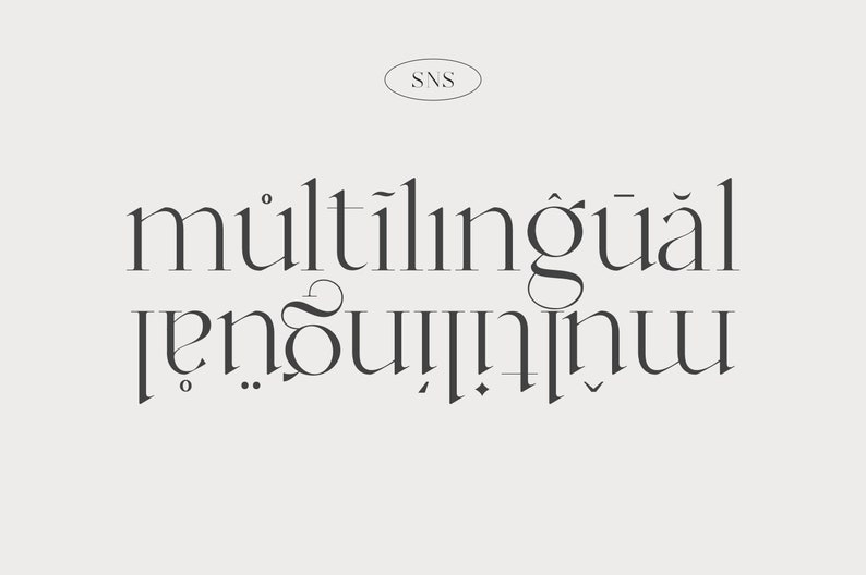 Op de afbeelding: Een grafisch ontwerp met het woord "meertalig" in een gestileerd lettertype. Het woord wordt herhaald in een gespiegeld patroon, waardoor een visueel effect van symmetrie ontstaat.