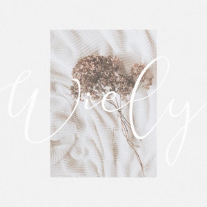 Miss Wiely - Wedding font, Calligraphy font, Feminine font, Modern script font, Hand-written font, Logo font, Boho Font, Signature Font