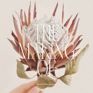 May include: A close-up of a dried protea flower with the text "THE MAKING OF" in white lettering. The text "MADE BY SANS AND SONS" is below the main text.