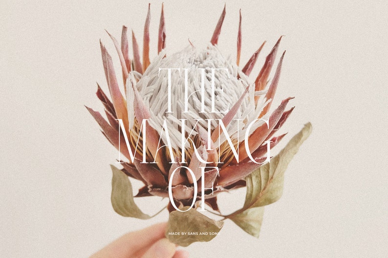 May include: A close-up of a dried protea flower with the text "THE MAKING OF" in white lettering. The text "MADE BY SANS AND SONS" is below the main text.