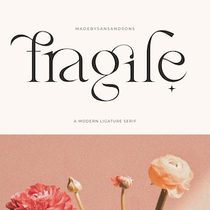 Fragile - Fuente Canva, Fuente Cricut, Fuente para invitación de boda, Fuente para logotipo, Fuente moderna, Fuente Boho, Fuente de marca, Fuente Cricut Svg
