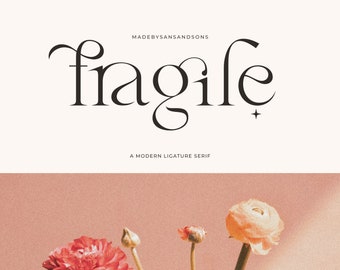Fragile - Canva Font, Cricut Font, Wedding Invitation Font, Logo Font, Modern Font, Boho Font, Branding Font, Cricut Svg Font