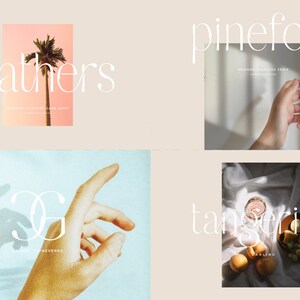 May include: A collage of four images featuring the text "pinefolk", "feathers", "tangering", and "G" in a minimalist, modern font style. The images feature a palm tree, a hand, and a glass of juice with fruit.