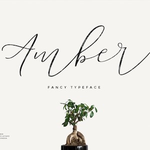 Miss Amber - Hochzeitsschrift, Kalligraphie-Schrift, Feminine Schrift, Moderne Schreibschrift, handgeschriebene Schrift, Logo-Schrift, Boho-Schrift, Signatur-Schrift