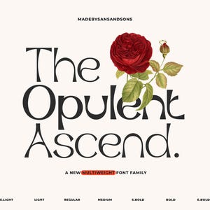 Könnte beinhalten: Ein Grafikdesign mit den Worten "The Opulent Ascent" in einer stilisierten Schriftart, verziert mit einer roten Rose und grünen Blättern. Der Text "A New Multiweight Font Family" ist ebenfalls vorhanden, zusammen mit Schriftgewicht-Optionen.