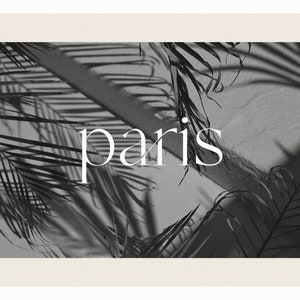 Op de afbeelding: Zwart-witfoto van palmbladeren die schaduwen werpen op een witte muur met het woord "paris" in witte tekst.