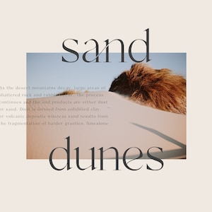 Op de afbeelding: Een close-up van een zandduin met een bruine plant op de voorgrond. De tekst "sand dunes" is geschreven in een serif-lettertype boven de afbeelding. De tekst "As the desert mountains decay, large areas of shattered rock and rubble... The process continues and the end products are either dust or sand. Dust is formed from solidified clay or volcanic deposits whereas sand results from the fragmentation of harder granites, limestone" is geschreven onder de afbeelding.