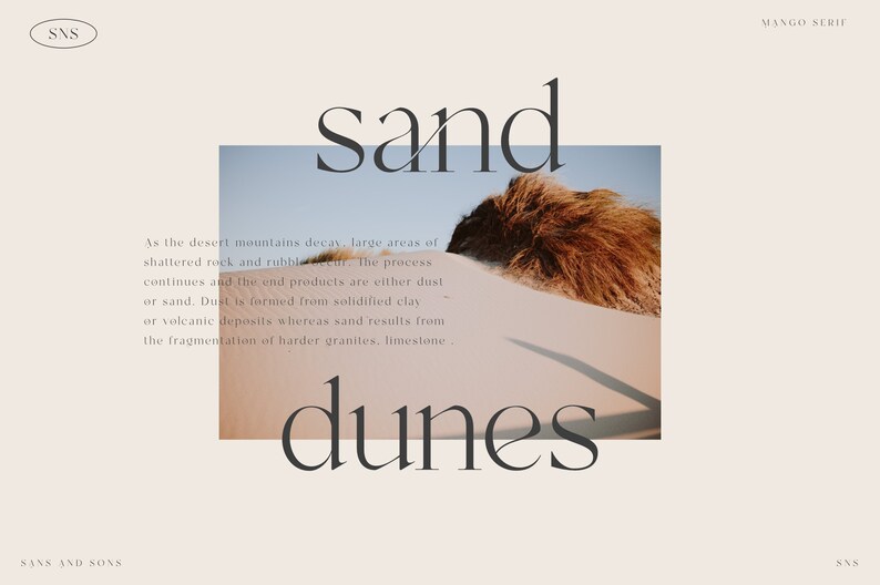 Op de afbeelding: Een close-up van een zandduin met een bruine plant op de voorgrond. De tekst "sand dunes" is geschreven in een serif-lettertype boven de afbeelding. De tekst "As the desert mountains decay, large areas of shattered rock and rubble... The process continues and the end products are either dust or sand. Dust is formed from solidified clay or volcanic deposits whereas sand results from the fragmentation of harder granites, limestone" is geschreven onder de afbeelding.