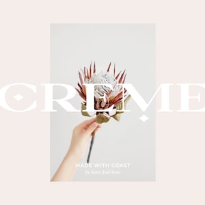 Peut inclure: Un logo blanc avec le mot "CREME" en police serif, avec un diamant de chaque c&ocirc;t&eacute; du mot. Le logo est superpos&eacute; sur une photo d'une main tenant une fleur de prot&eacute;a aux p&eacute;tales roses et bruns.