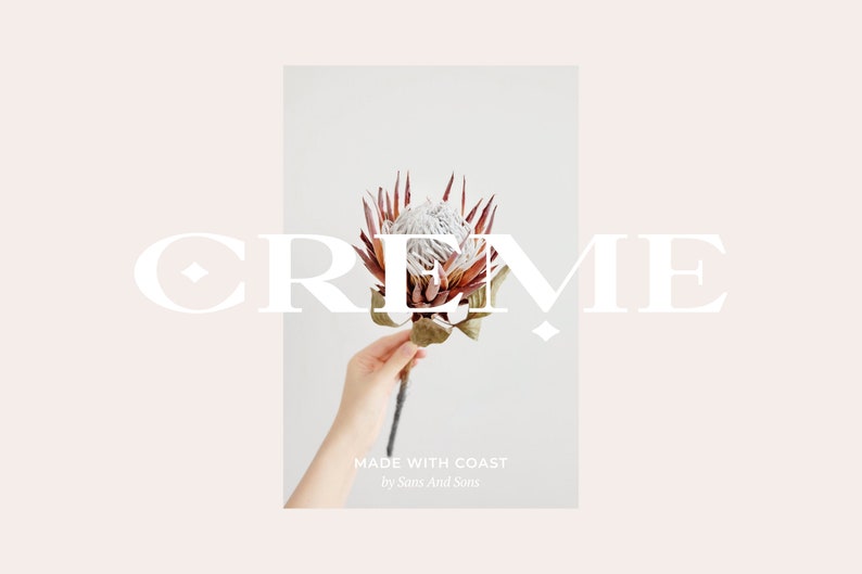 Peut inclure: Un logo blanc avec le mot "CREME" en police serif, avec un diamant de chaque c&ocirc;t&eacute; du mot. Le logo est superpos&eacute; sur une photo d'une main tenant une fleur de prot&eacute;a aux p&eacute;tales roses et bruns.