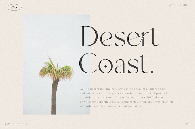 Op de afbeelding: Een palmboom staat tegen een lichtblauwe lucht met de tekst "Desert Coast." in een serif-lettertype. De tekst "As the desert mountains decay, large areas of shattered rock and rubble occur. The process continues and the end products are either dust or sand. Dust is formed from solidified clay or volcanic deposits whereas sand results from the fragmentation of harder granites, limestone and sandstone." staat onder de palmboom.