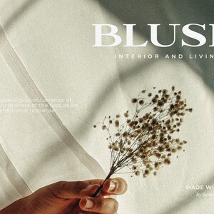 Peut inclure: Gros plan d'une main tenant un bouquet de fleurs s&eacute;ch&eacute;es. L'arri&egrave;re-plan est une surface blanche avec le texte "BLUSII INTERIOR AND LIVING" et "MADE WITH COAST by Suns and Sores".