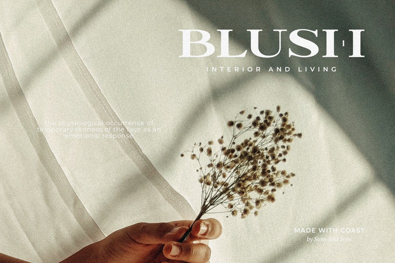 Peut inclure: Gros plan d'une main tenant un bouquet de fleurs s&eacute;ch&eacute;es. L'arri&egrave;re-plan est une surface blanche avec le texte "BLUSII INTERIOR AND LIVING" et "MADE WITH COAST by Suns and Sores".