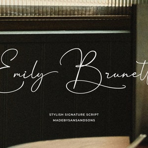 Emily Brunette - Fonte de caligrafia, fonte de casamento, fonte moderna, fonte de script, fonte Cricut, fonte cursiva, fonte Canva, manuscrita, Procreate