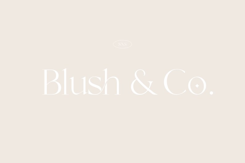 Op de afbeelding: Witte tekst op een licht beige achtergrond met de tekst "Blush & Co."