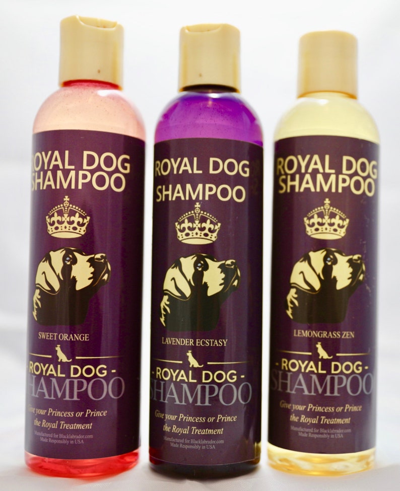 Plant Based Dog Shampoo 100 Natural Ingredients Repels Fleas and Ticks