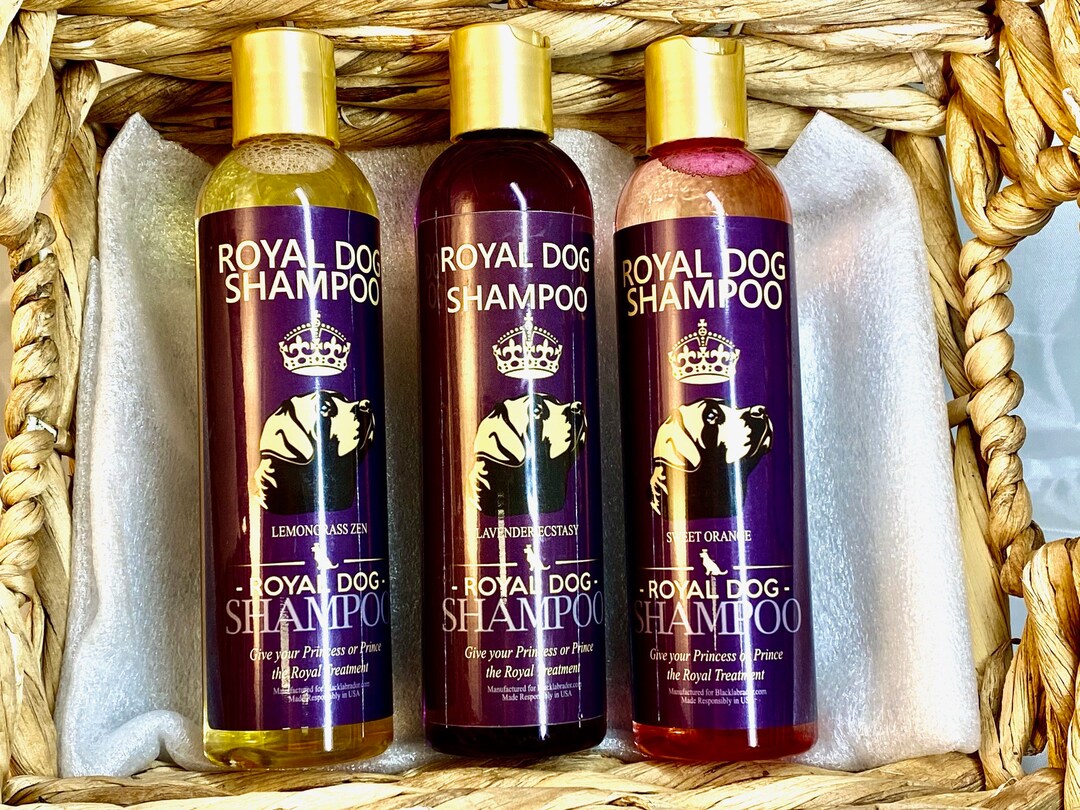 Plant Based Dog Shampoo 100 Natural Ingredients Repels Fleas and Ticks Naturally Etsy