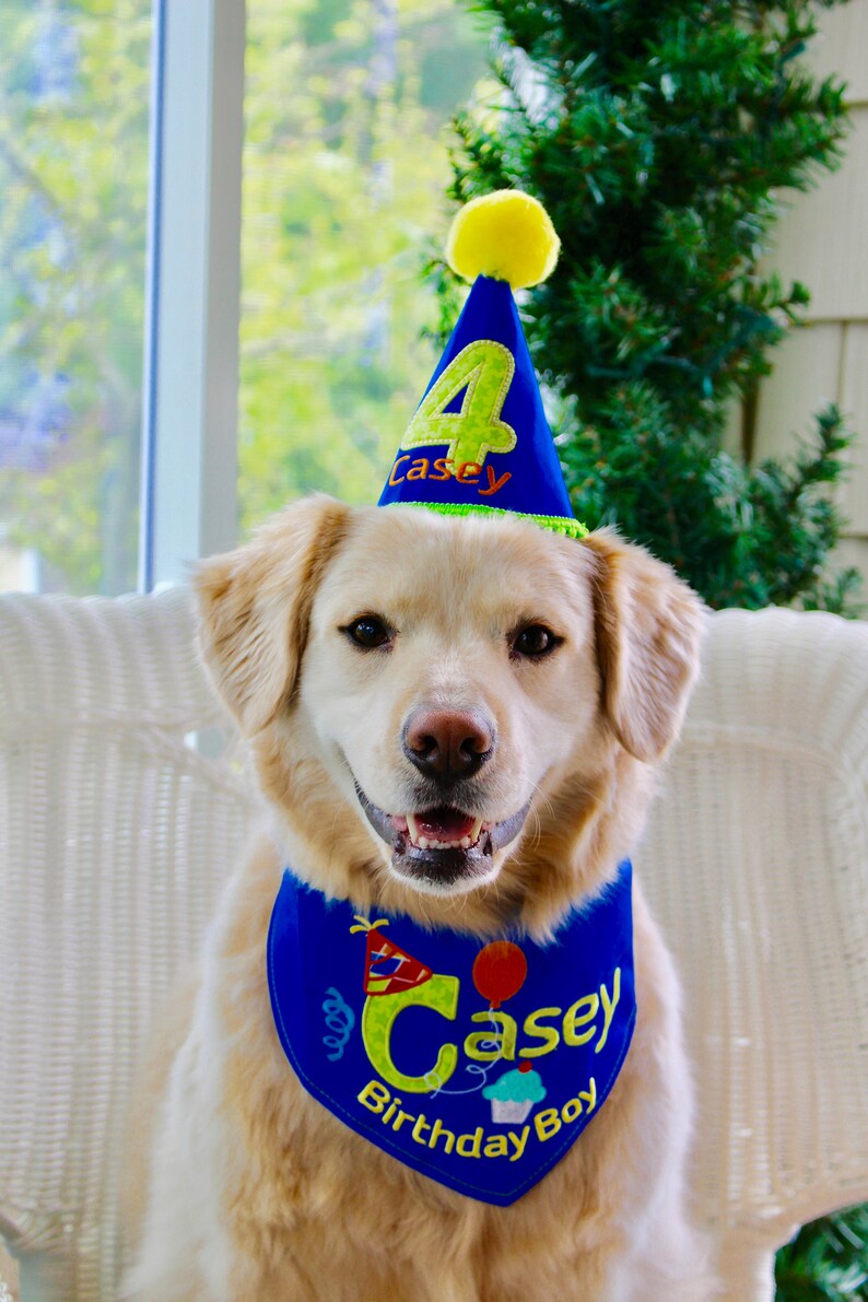 Birthday Boy Dog Bandana and Party Hat Set Party Hat initial | Etsy