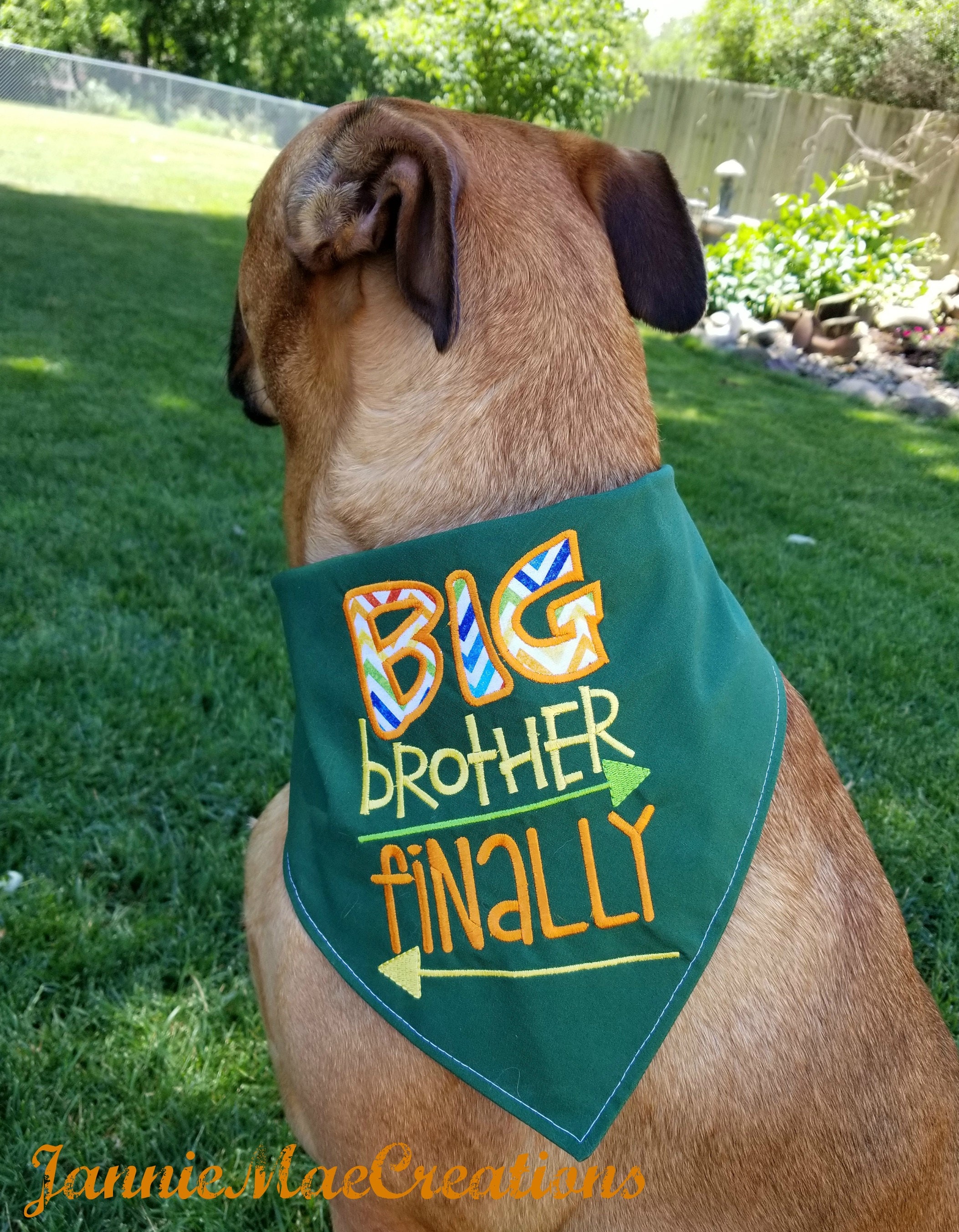 Big Brother Finally Dog Bandana Pregnancy announcement Dog Etsy