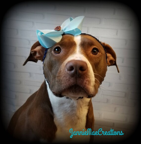 Dog Pinwheel Hair Bow And Headband Bow And Headband For Etsy