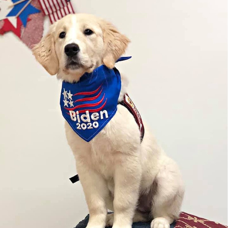 Biden flag 2020 tie on dog bandana with flag Embroidered Joe | Etsy