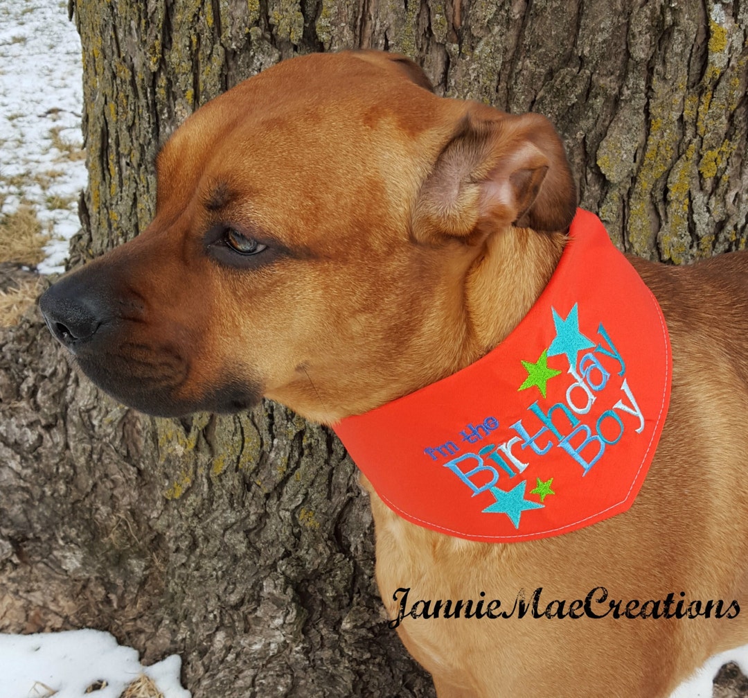 Birthday Boy Dog Bandana, I'm the Birthday Boy Dog Scarf, Star Design Birthday Bandana, Custom