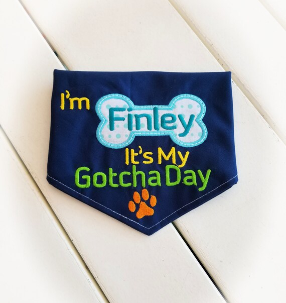 gotcha day dog bandana