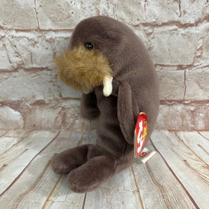 May include: A plush, brown walrus toy with a tan mustache and small white tusks. The toy has a red tag with yellow and white text attached. The walrus is sitting on a wooden surface.