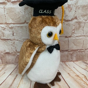 Vintage 2000 TY Wisest Class of 00 the Owl Bird Plush Stuffed Animal Beanie Babies 6 image 2