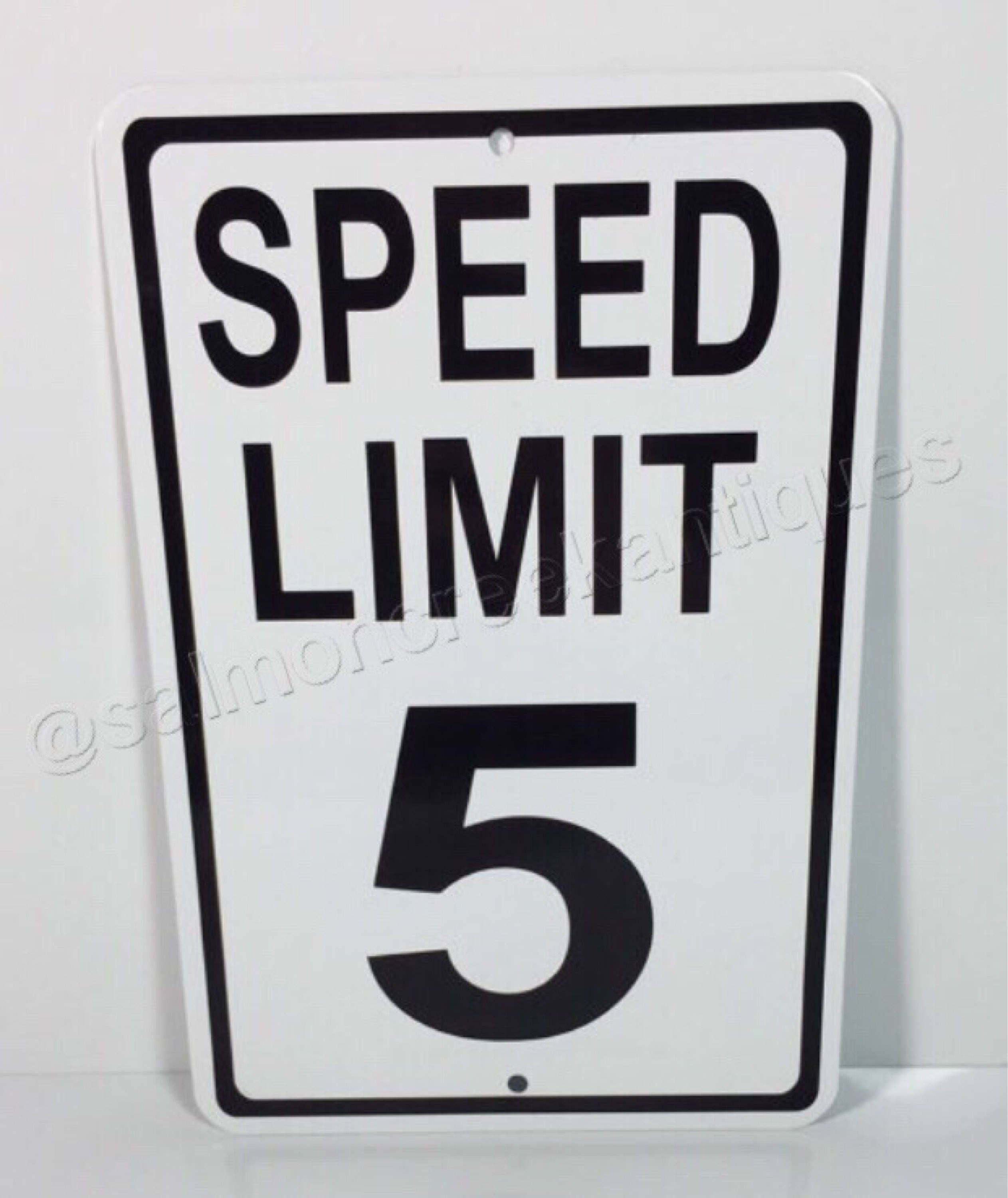 邦楽 SPEED LIMIT/memi il_fullxfull.1343393561_gdag.jpg