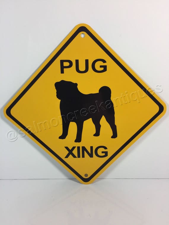 Tin Sign Warning sign Beware of the dog symbol in black and yellow triangle comi 