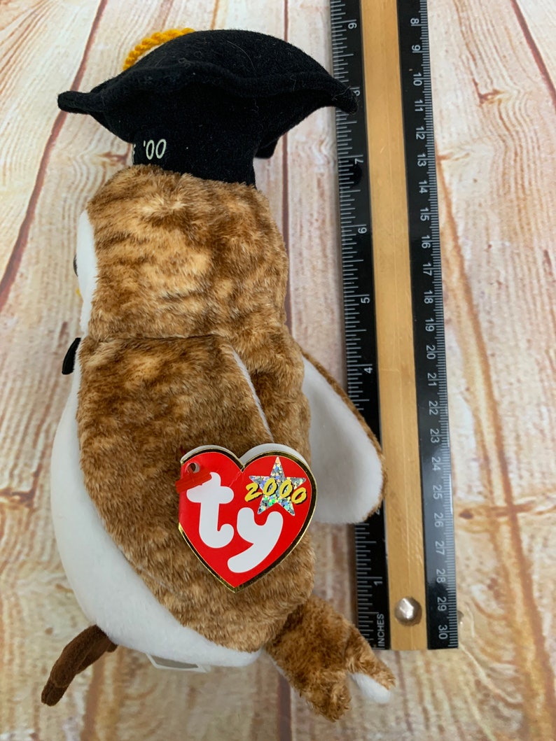 Vintage 2000 TY Wisest Class of 00 the Owl Bird Plush Stuffed Animal Beanie Babies 6 image 4