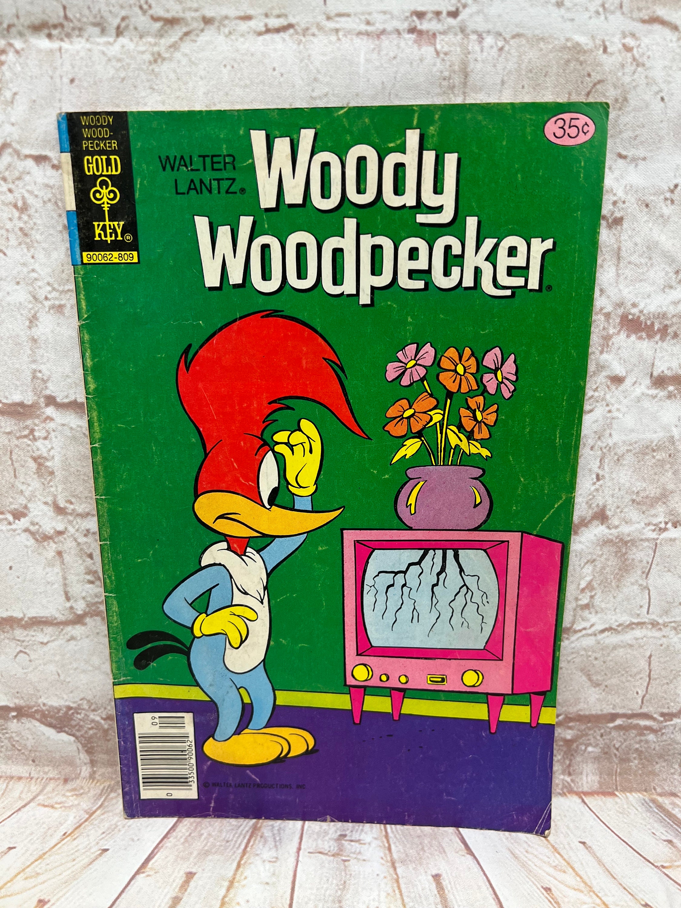 Vintage 1978 Woody Woodpecker Gold Key Comic Book No. 170