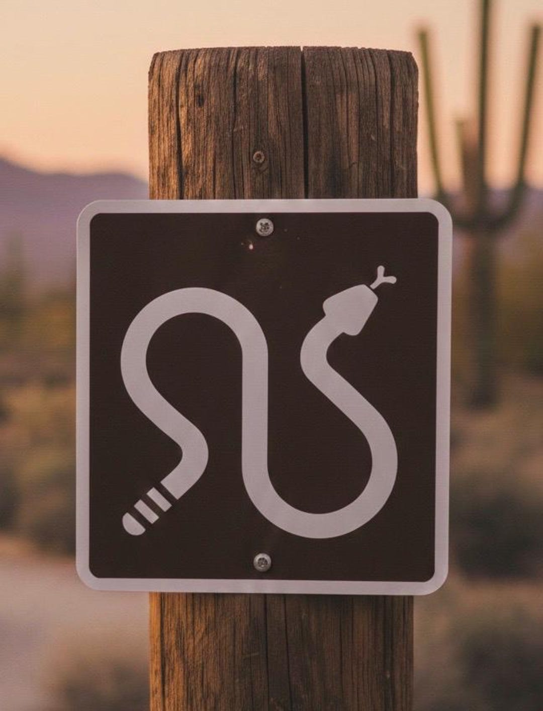 Snake Entry. Sign Rattlesnake Crossing Metal Sign: Park Snake Warning, Aluminum, 6