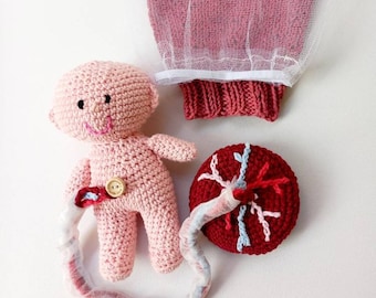 Model set for Childbirth Education, Baby birth, Uterus Womb Umblicical, Placenta & Amniotic Sac, School teaching, Midwife, Doula, Montessori